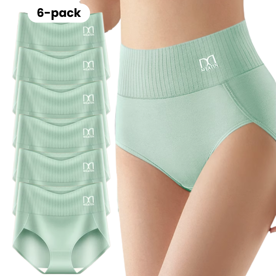 Ojai High-Waist Shaping Stretch Briefs (6-Pack)