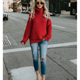 Breckenridge Chunky Ribbed Longline Turtleneck Sweater